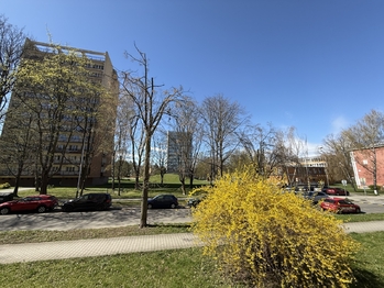 Pronájem bytu 2+1 v osobním vlastnictví 54 m², Ostrava