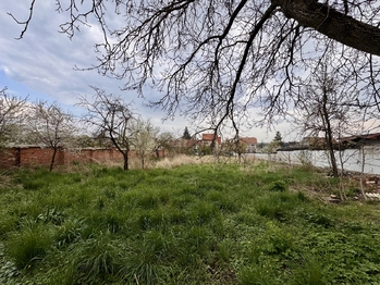 Prodej domu 120 m², Ivanovice na Hané