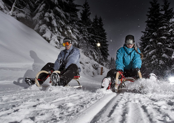 Prodej pozemku 1920 m², Dolní Moravice