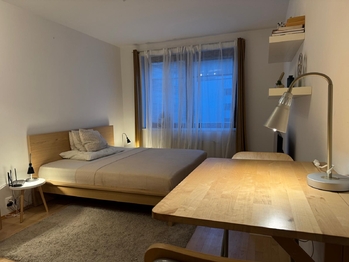 Pronájem bytu 1+kk v osobním vlastnictví 30 m², Praha 5 - Smíchov