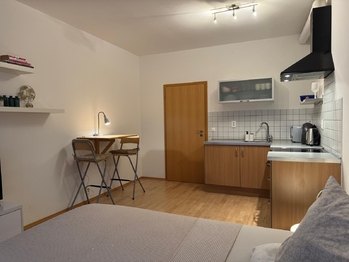 Pronájem bytu 1+kk v osobním vlastnictví 30 m², Praha 5 - Smíchov