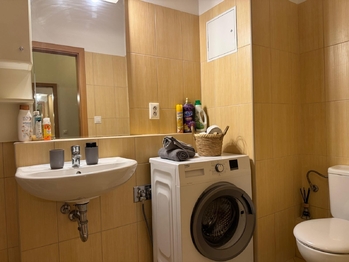 Pronájem bytu 1+kk v osobním vlastnictví 30 m², Praha 5 - Smíchov