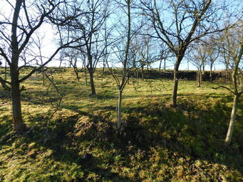 Prodej pozemku 842 m², Prace