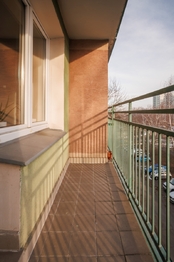 Prodej bytu 1+kk v družstevním vlastnictví 32 m², Ostrava