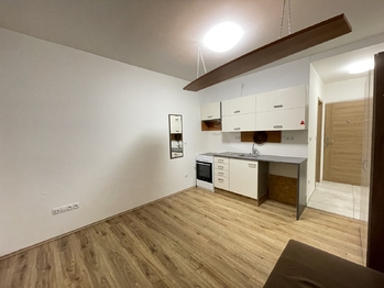 Pronájem bytu 1+kk v osobním vlastnictví 21 m², České Budějovice