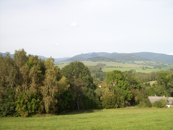 Prodej pozemku 7806 m², Králíky