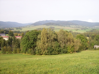 Prodej pozemku 7806 m², Králíky