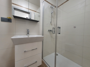 Pronájem bytu 2+kk v družstevním vlastnictví 49 m², Brno