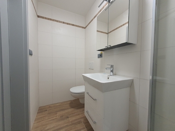 Pronájem bytu 2+kk v družstevním vlastnictví 49 m², Brno