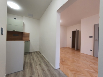 Pronájem bytu 2+kk v družstevním vlastnictví 49 m², Brno