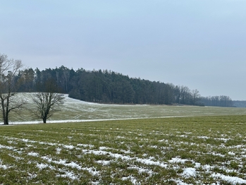 Prodej pozemku 21595 m², Ostřetín