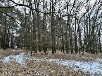 Prodej pozemku 21595 m², Ostřetín