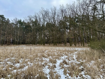 Prodej pozemku 21595 m², Ostřetín