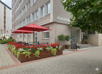 Pronájem obchodních prostor 252 m², České Budějovice