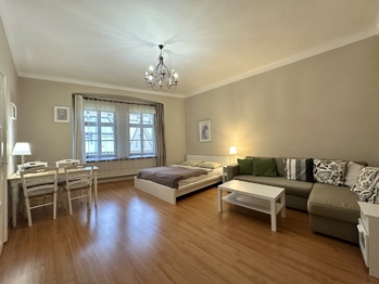 Pronájem bytu 1+1 v osobním vlastnictví 39 m², Praha 1 - Staré Město