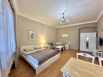 Pronájem bytu 1+1 v osobním vlastnictví 39 m², Praha 1 - Staré Město