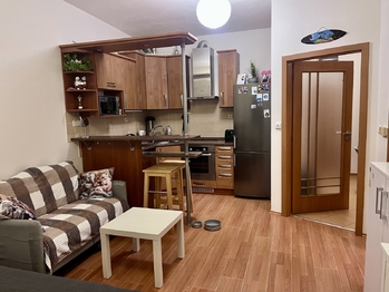 Pronájem bytu 2+kk v osobním vlastnictví 2950 m², Jihlava