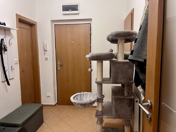 Pronájem bytu 2+kk v osobním vlastnictví 2950 m², Jihlava