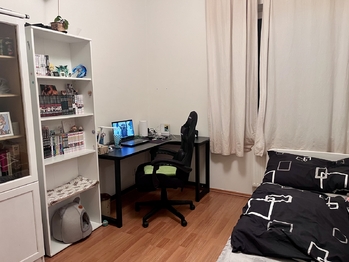 Pronájem bytu 2+kk v osobním vlastnictví 2950 m², Jihlava