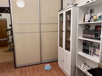 Pronájem bytu 2+kk v osobním vlastnictví 2950 m², Jihlava