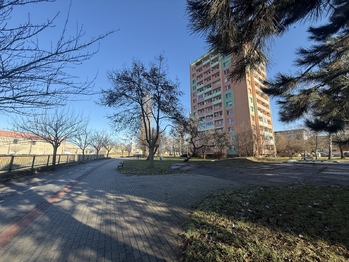 Pronájem bytu 1+1 v osobním vlastnictví 34 m², Břeclav