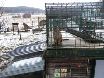 Prodej jiných prostor 703 m², Lipová-lázně