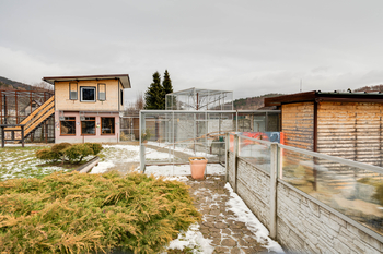 Prodej jiných prostor 703 m², Lipová-lázně