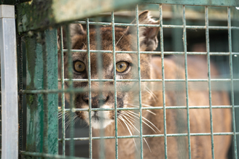 Prodej jiných prostor 703 m², Lipová-lázně