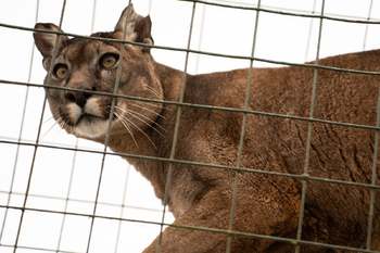 Prodej jiných prostor 703 m², Lipová-lázně