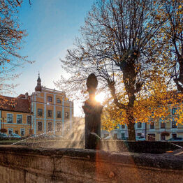 Prodej pozemku 3912 m², Nové Hrady