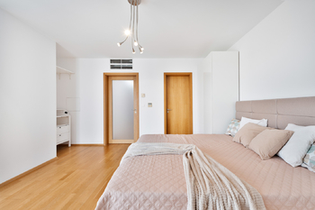 Pronájem bytu 2+kk v osobním vlastnictví 99 m², Praha 3 - Žižkov