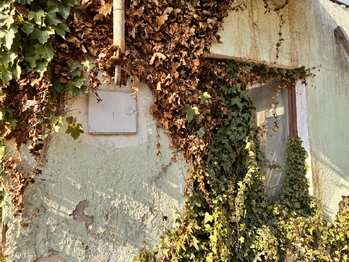 Prodej pozemku 460 m², Bučovice