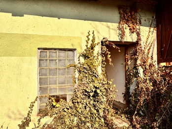 Prodej pozemku 460 m², Bučovice