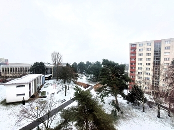 Pronájem bytu 2+1 v osobním vlastnictví 52 m², Mladá Boleslav