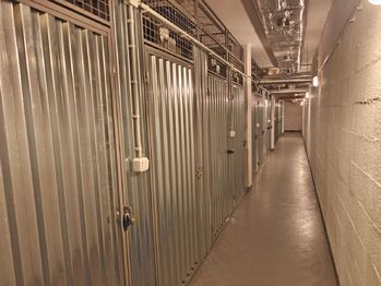 Sklepní kóje. - Prodej bytu 2+kk v osobním vlastnictví 52 m², Praha 9 - Hostavice