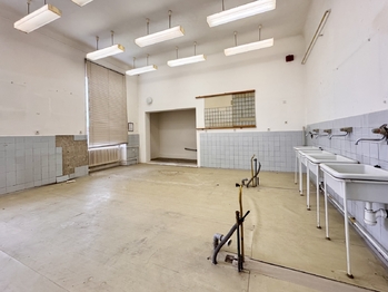 Prodej kancelářských prostor 2126 m², Kyjov