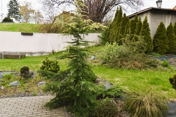 Prodej domu 193 m², Příbor