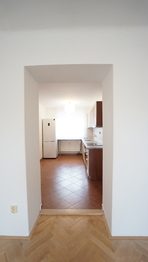 Pronájem bytu 2+1 v osobním vlastnictví 60 m², Týnec nad Sázavou