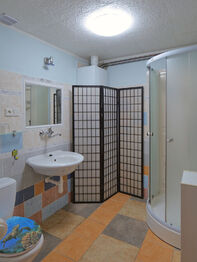 Prostory v menším domě - Prodej domu 536 m², Sedlec-Prčice