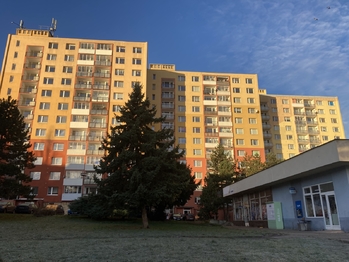 Prodej bytu 1+1 v družstevním vlastnictví 42 m², Chomutov