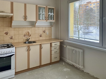 Prodej bytu 1+1 v družstevním vlastnictví 42 m², Chomutov