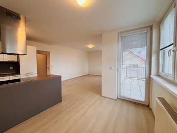 Pronájem bytu 2+kk v osobním vlastnictví 56 m², Zbuzany