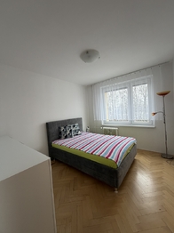 Pronájem bytu 2+1 v osobním vlastnictví 51 m², Brno