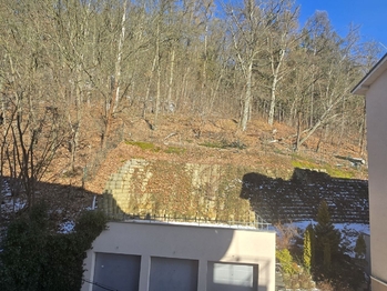 Pronájem bytu 2+kk v osobním vlastnictví 52 m², Karlovy Vary