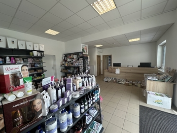 Pronájem skladovacích prostor 415 m², Rašovice