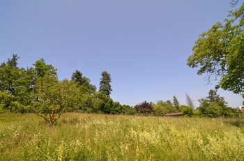 detail pozemku pohled z jihu - Prodej pozemku 1550 m², Praha 5 - Lochkov