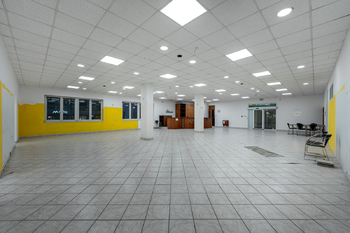 hlavní showroom - Pronájem obchodních prostor 600 m², Průhonice
