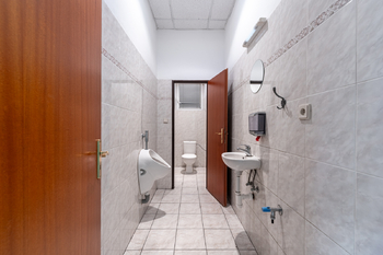 Pronájem obchodních prostor 600 m², Průhonice