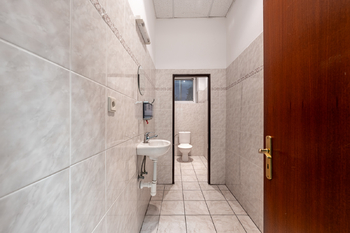 Pronájem obchodních prostor 600 m², Průhonice