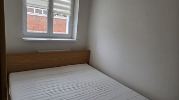 Pronájem bytu 2+1 v družstevním vlastnictví 53 m², Brno